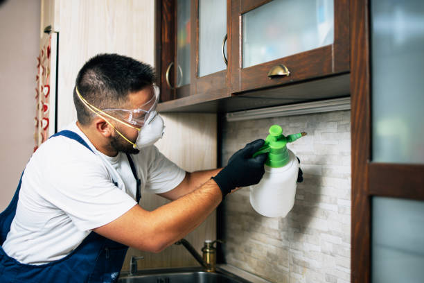 Best Bed Bug Extermination  in Bellevle, IL