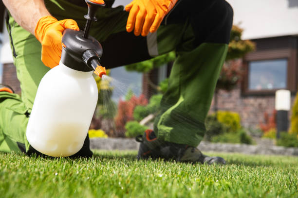 Best Pest Control for Restaurants  in Bellevle, IL
