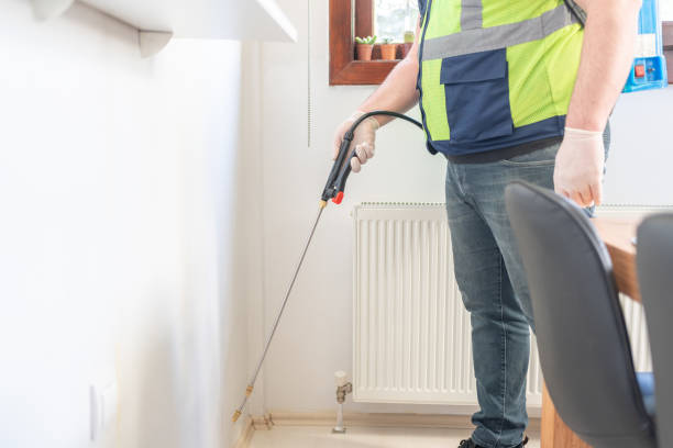 Best Ant Control Services  in Bellevle, IL