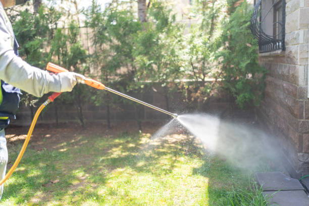 Best Wildlife Control Services  in Bellevle, IL