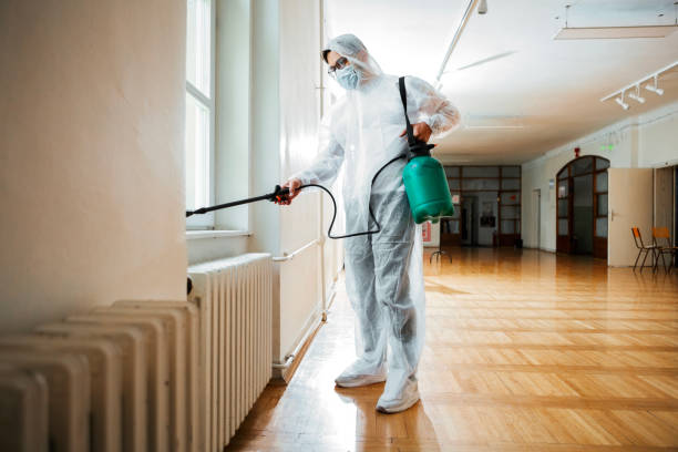 Best Affordable Pest Control Services  in Bellevle, IL