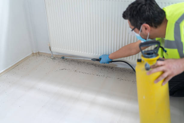 Pest Control for Restaurants in Belleville, IL