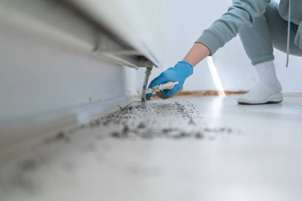 Best Pest Removal Services  in Bellevle, IL